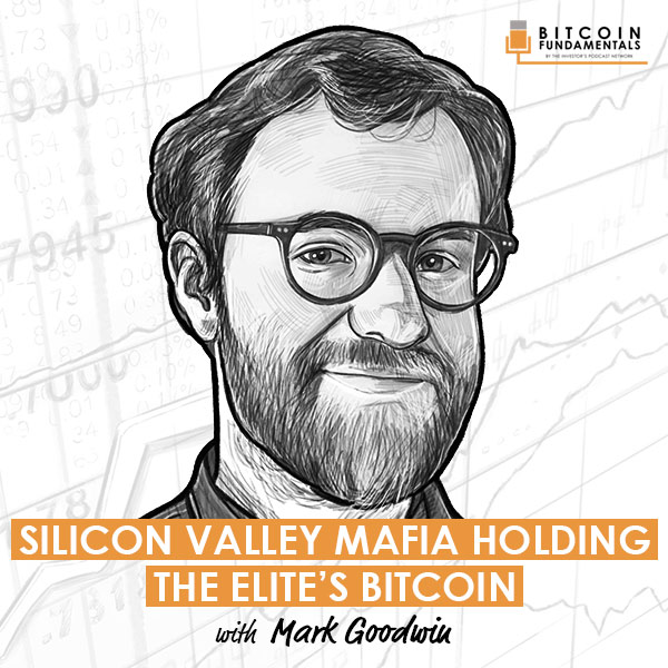 silicon-valley-mafia-holding-the-elites-bitcoin-mark-goodwin-artwork-optimized