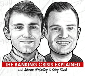 The banking crisis explained