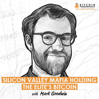 silicon-valley-mafia-holding-the-elites-bitcoin-mark-goodwin-artwork-optimized